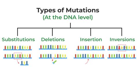Mutations Guide .